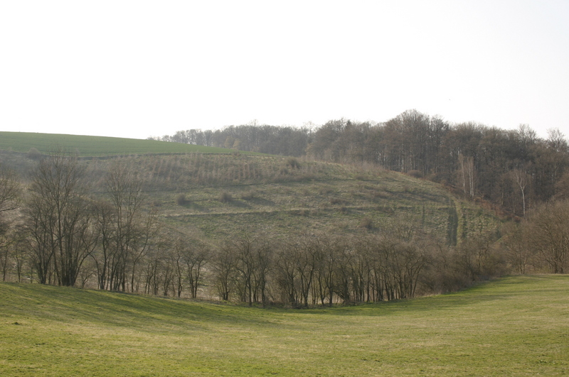 Das Gutsgelände im April 2007