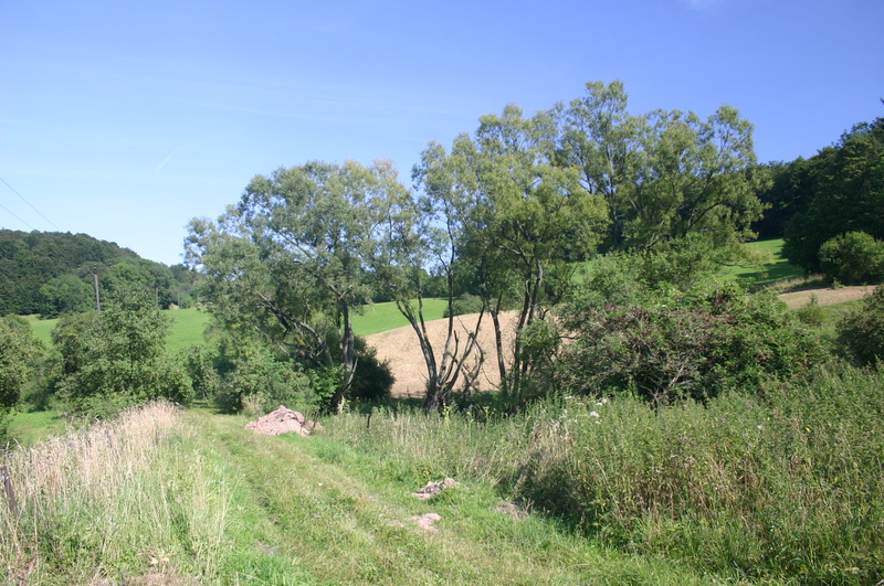 Keudelskuppe und Keudelstein im August 2007