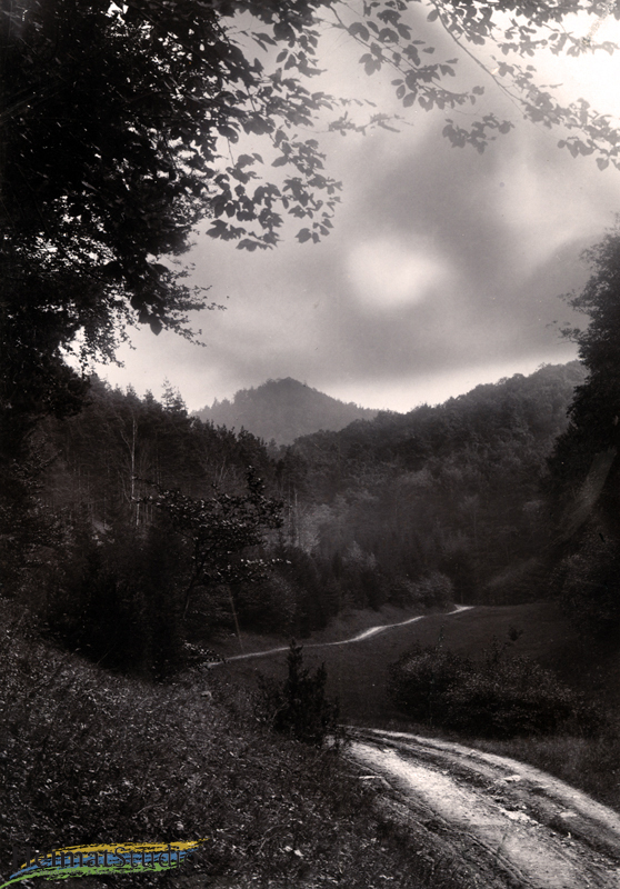 Keudelstein - Waldweg zum Gutshof