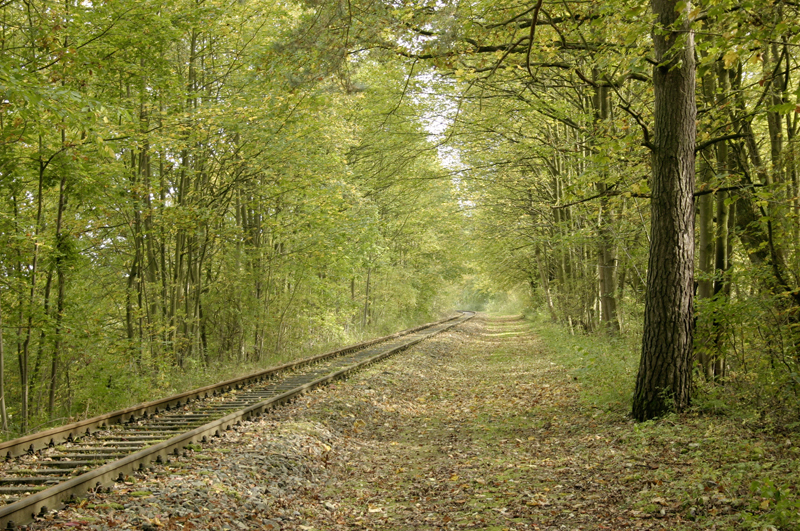 Bahnstrecke in Richtung Geismar