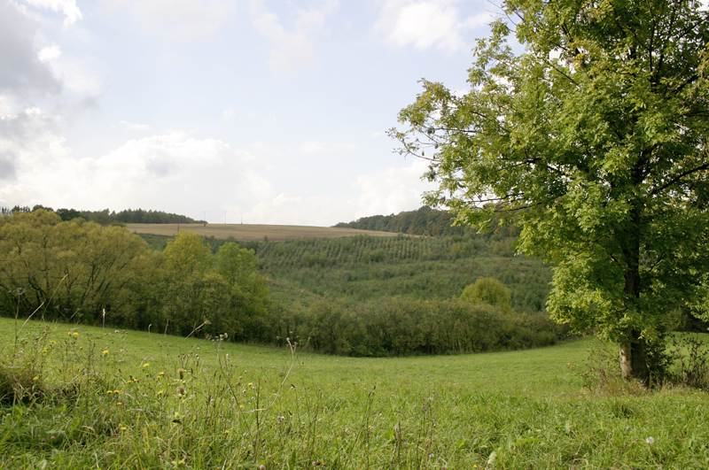 Gutsweiden und der große Graben am Keudelstein