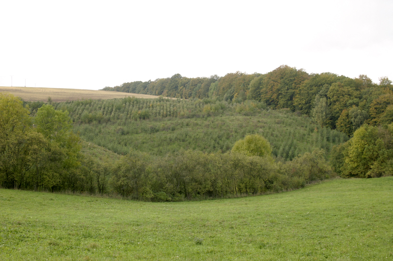 Der große Graben unterhalb des Gutsgeländes
