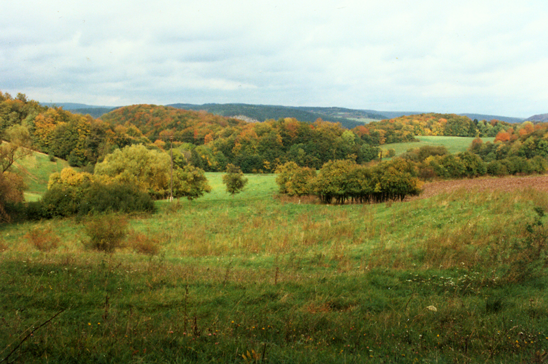 Keudelsteiner Gutsgelände im September 1993
