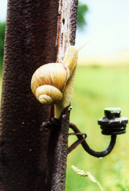 Keudelsteiner Impressionen (Oktober 2000)