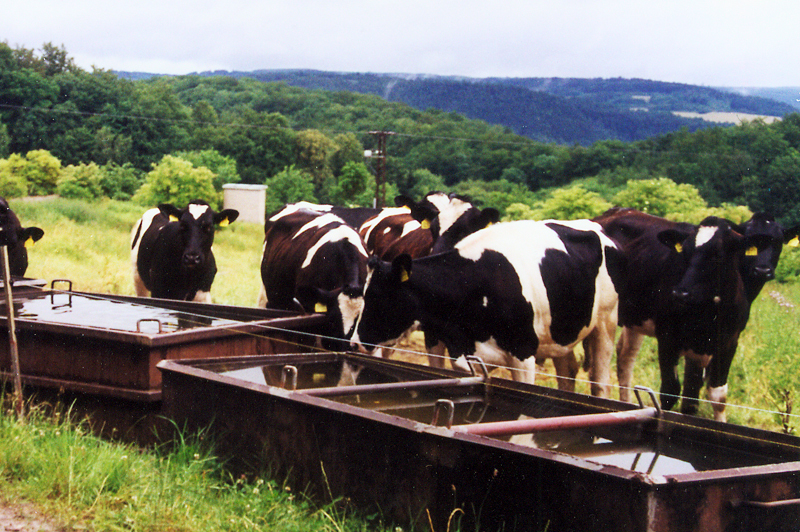 Keudelsteiner Impressionen (Oktober 2000)